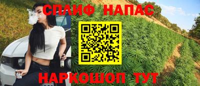 прущие грибы Ачхой-Мартан