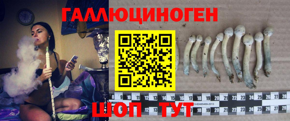 Псилоцибиновые грибы мухоморы  Вход с VPN  Псилоцибиновые грибы GOLDEN TEACHER  Тосно 