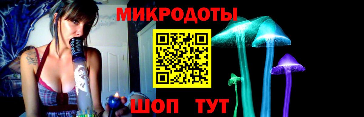 Псилоцибиновые грибы Cubensis Тосно